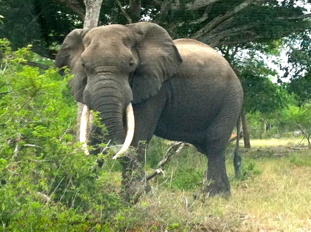 House 23 Ezulwini In Sodwana Bay Lodge エクステリア 写真